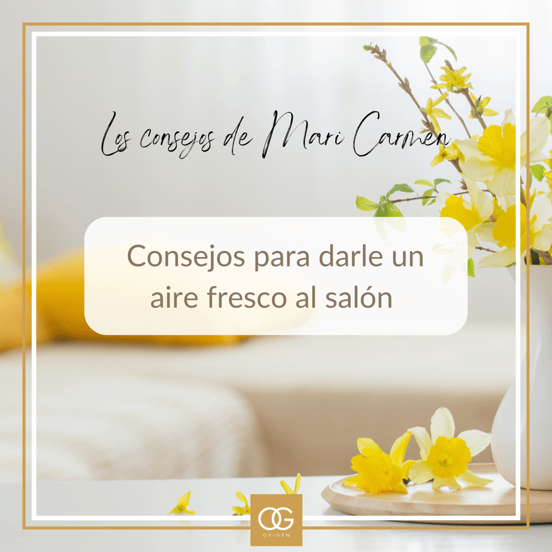 Recibidores Origen Yecla 